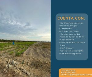 Imagen 2 del terreno