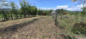 Imagen 2 del terreno