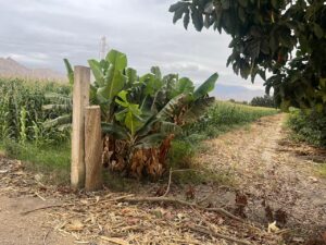 Imagen 3 del terreno