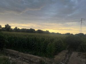 Imagen 2 del terreno