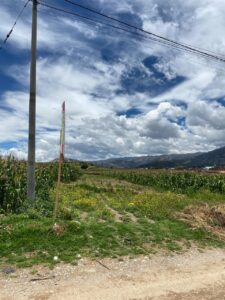 Imagen 3 del terreno