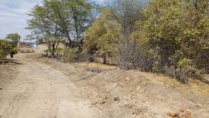 Imagen 2 del terreno