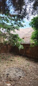 Imagen 3 del terreno