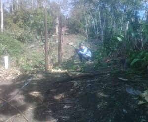 Imagen 2 del terreno