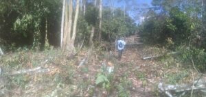 Imagen 1 del terreno