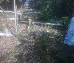 Imagen 3 del terreno