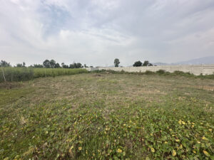 Imagen 2 del terreno