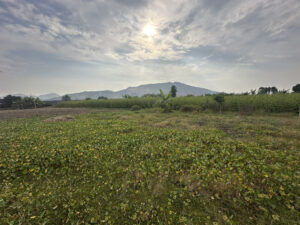 Imagen 3 del terreno