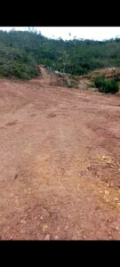 Imagen 3 del terreno