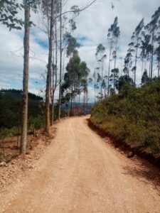 Imagen 1 del terreno