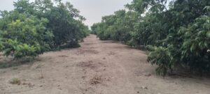 Imagen 2 del terreno