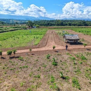Imagen 3 del terreno
