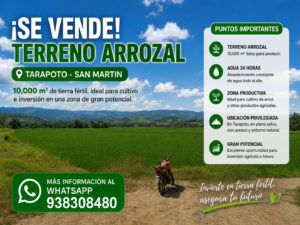 Imagen 3 del terreno