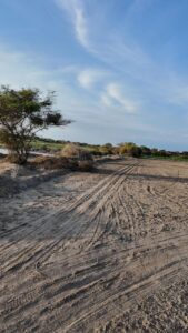 Imagen 1 del terreno