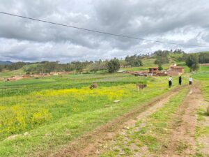 Imagen 1 del terreno