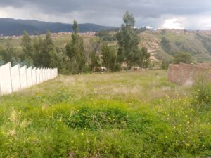 Imagen 1 del terreno