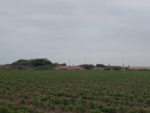 Imagen 3 del terreno