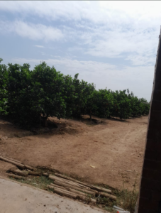 Imagen 2 del terreno